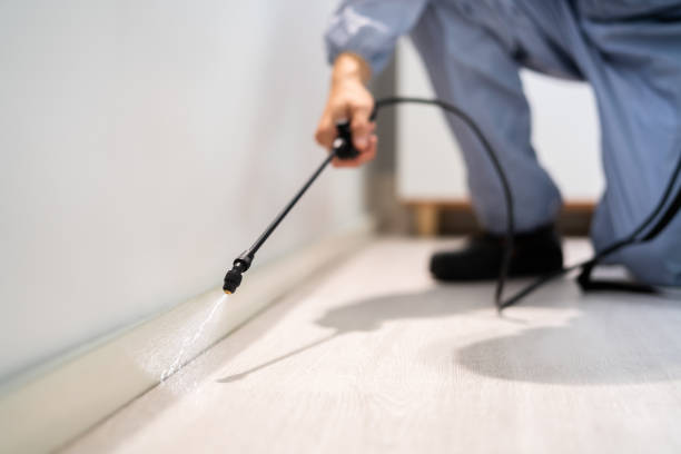 Licensed Termite Control service in Henryetta, OK - Nex Pest Control