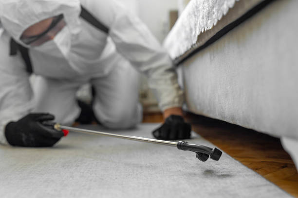 Professional Termite Control technician working in Henryetta, OK