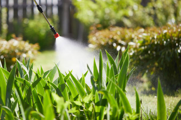 24/7 Emergency Termite Control experts in Henryetta, OK