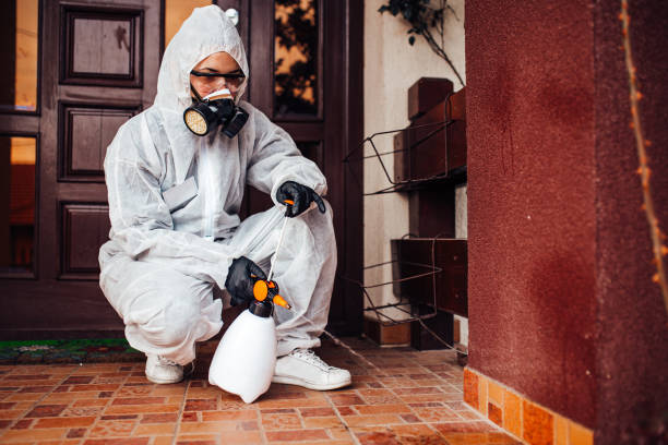 Reliable Termite Control contractor in Henryetta, OK by Nex Pest Control