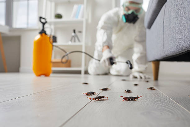 Affordable Termite Control solutions in Henryetta, OK