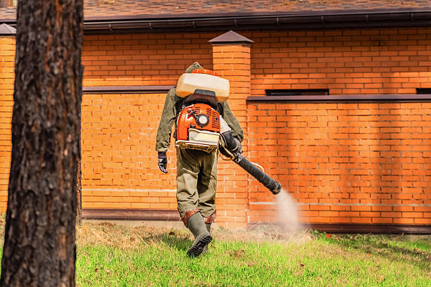 Top rated local Termite Control specialists in Henryetta, OK